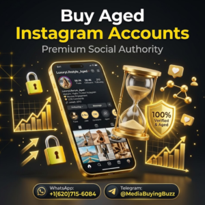 Buy Aged Instagram Accounts